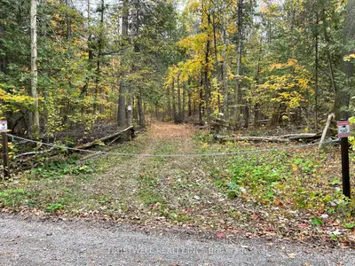 0 Little Silver Lake Road, Trent Lakes, On K0m 1a0