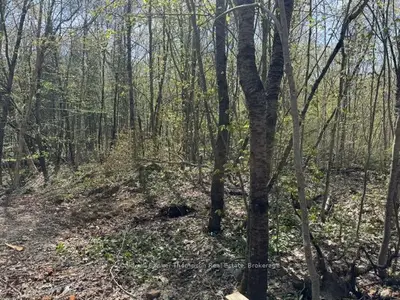 0 Mag View Drive, Armour, On P0a 1c0