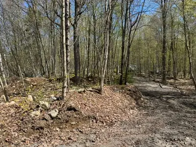 0 Mag View Drive, Armour, On P0a 1c0