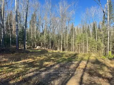68 Mag View Drive, Armour, On P0a 1c0