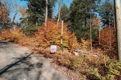 1310 Camel Lake Road Unit 11 Lot 5, Muskoka Lakes, On P1l 1x4
