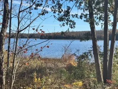 425 Bartlett Lake Road, Ryerson, On P0a 1c0
