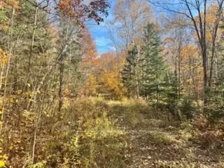 425 Bartlett Lake Road, Ryerson, On P0a 1c0