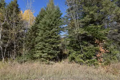 0 Highway 620, Wollaston, On K0l 1a0
