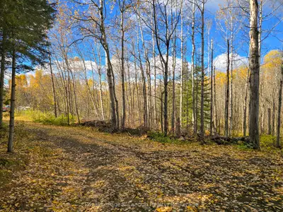 295 Beckwick Road, Thunder Bay, On P7g 1k7