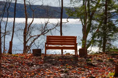 Pin 48064-0345 Sugar Bush Road, Lake Of Bays, On P0a 1h0
