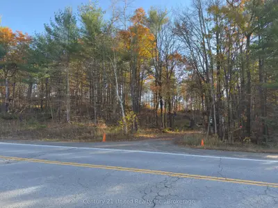 3337 County Rd 46, Havelock-belmont-methuen, On K0l 1z0