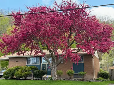 126 Woodside Drive, St. Catharines, On L2t 1x2