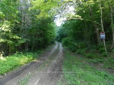 L3 & L4 Concession B, Kawartha Lakes, On K0m 2l0