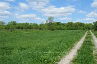79 North Big Island Road, Prince Edward County, On K0k 1w0