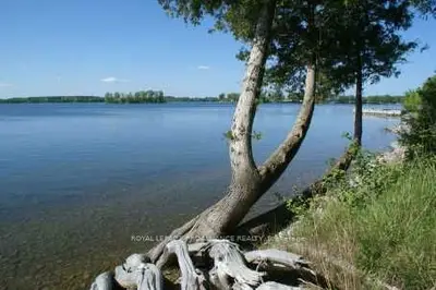 736b County 18 Road, Prince Edward County, On K0k 1p0