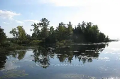 0 Mcguires Island &*, Kawartha Lakes, On K0m 2b0