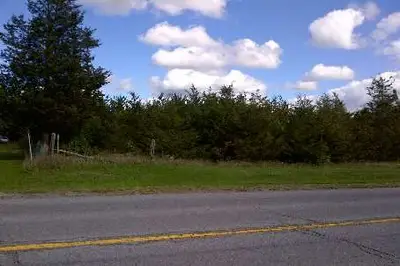 Lot 1 County Road 5 Road, Prince Edward County, On K0m 1w0