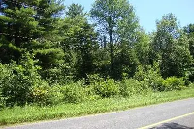 829 Bel Twp 2nd Line, Havelock-belmont-methuen, On Xxx Xxx