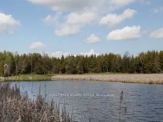 Lot 16 Tracey's Hill Road, Kawartha Lakes, On K9v 4r5