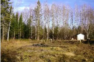 Lot 104 Pinewood Boulevard, Kawartha Lakes, On Xxx Xxx
