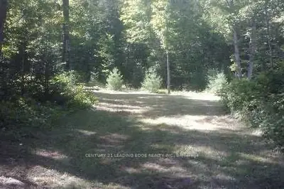 14 Concession Lot 31 Road, Addington Highlands, On K0h 1l0