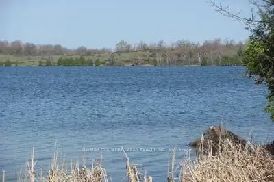 Lot 16 Brotherston Road, Kawartha Lakes, On K0m 2b0