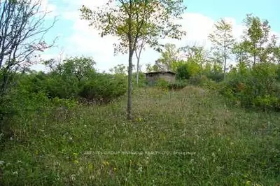 Lot 18 Ramblewood Trail, Kawartha Lakes, On K0m 2b0