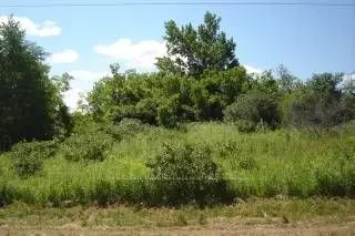 0 Washburn Island Road, Kawartha Lakes, On K0m 2c0