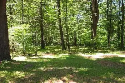 Lt 12 Stanley Road, Kawartha Lakes, On L0k 1b0
