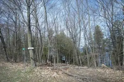 Lot Major Street, Kawartha Lakes, On K0m 1l0