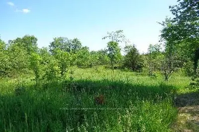 0 Highway 49, Trent Lakes, On K0m 1a0