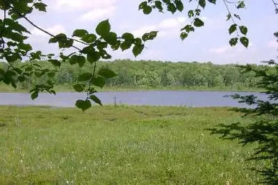 9756 Highway 522, Parry Sound Remote Area, On P0h 1a0