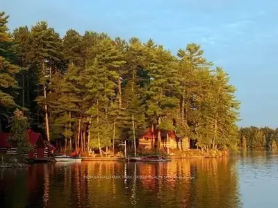 39 Jacks Lake, Havelock-belmont-methuen, On