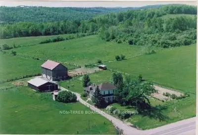 4560 Highway 7, Kawartha Lakes, On K0l 2w0