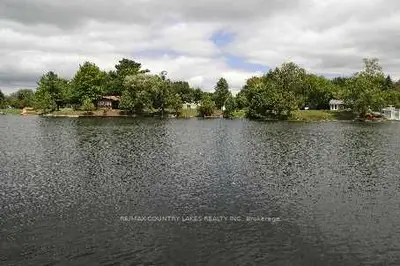 10 Birch Court, Kawartha Lakes, On K0m 2t0