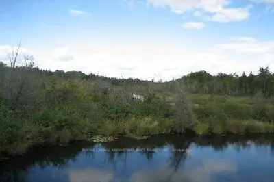 00 St. Mary's Road, Kawartha Lakes, On K0l 2x0
