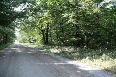 S 1/2 Lt 2, Con 2 Drum Road, Kawartha Lakes, On L0a 1k0