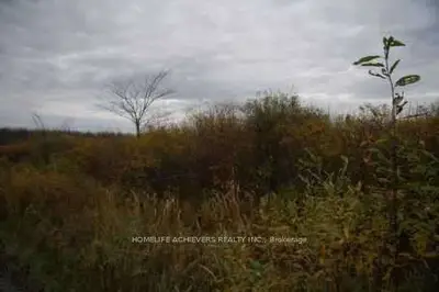 Vacant Land in Ramara
