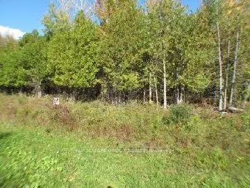 Lot 24 Willy Allan Road, South Stormont, On K0c 2a0