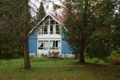 167 Cedarplank Road, Kawartha Lakes, On K0m 1n0