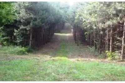 0 Morrison Point-3 Road, Prince Edward County, On K0k 2t0