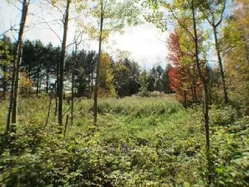 Pt W1/2 Lt 13 Con 1 - Heron Road, South Glengarry, On K0c 2j0