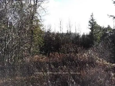 24 Woodland Trail, Kawartha Lakes, On L0l 1a0