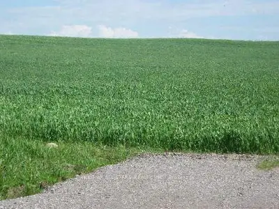 Lot 4 Sun Valley Road, Kawartha Lakes, On L0c 1g0