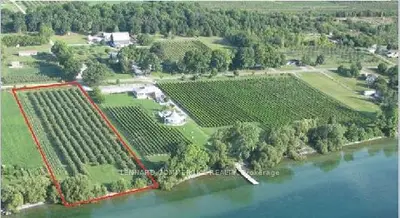 2894 County Road 8, Prince Edward County, On K0k 2t0