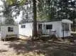 6 Shirley Drive, Kawartha Lakes, On L0b 1k0