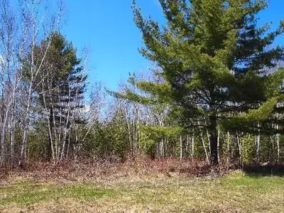 Lt29 Pinewood Boulevard, Kawartha Lakes, On K0m 2b0