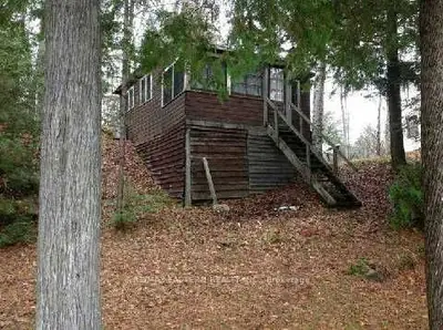 296 Mississagua Lake Road, Trent Lakes, On K0l 1j0
