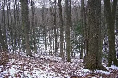 35 Drum Road, Kawartha Lakes, On L0a 1k0