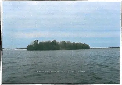 0 St. Ann's Island, Kawartha Lakes, On K0m 1n0