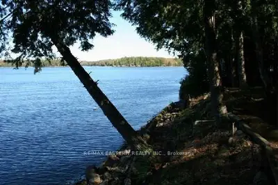 192 Fire Route 214, Trent Lakes, On K0l 1j0