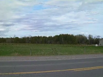 Nex 482 Centreline Road, Kawartha Lakes, On K9v 4r5