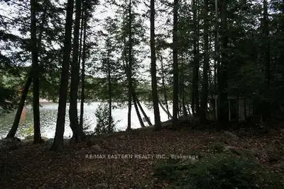 36 Fire Route 287, Trent Lakes, On K0l 1j0