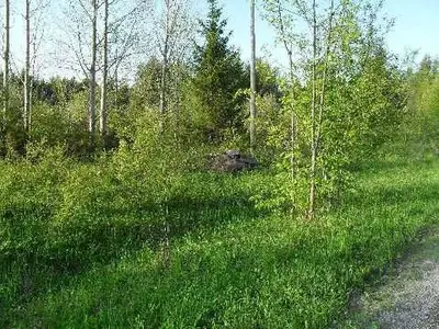 Lot 6 Lift Lock Road W, Kawartha Lakes, On K0m 2b0